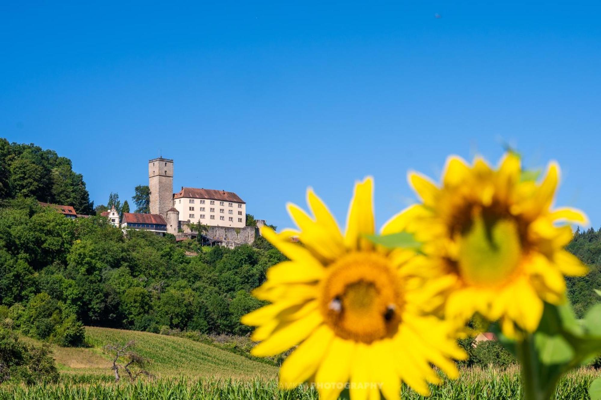 Wohnen Auf Der Ritterburg Villa Haßmersheim Dış mekan fotoğraf