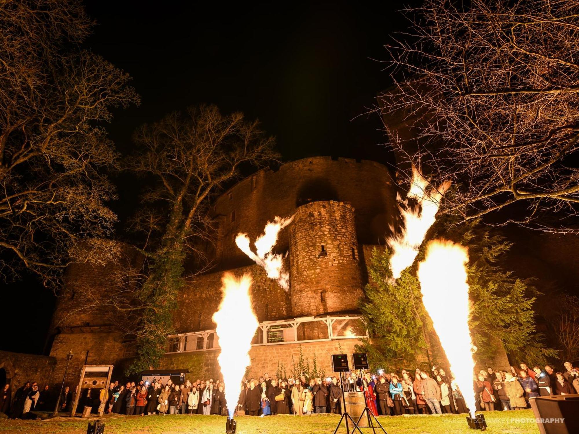 Wohnen Auf Der Ritterburg Villa Haßmersheim Dış mekan fotoğraf